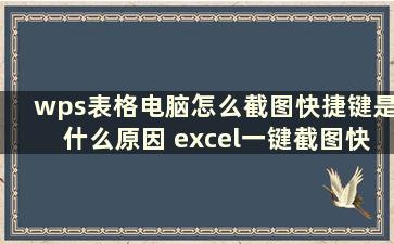 wps表格电脑怎么截图快捷键是什么原因 excel一键截图快捷键